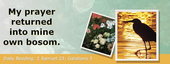 https://bibletruthpublishers.com/ComfortOfScriptures/wp-content/uploads/cos-hdg-2026-270.jpg
