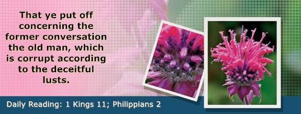https://bibletruthpublishers.com/ComfortOfScriptures/wp-content/uploads/cos-hdg-2026-281.jpg