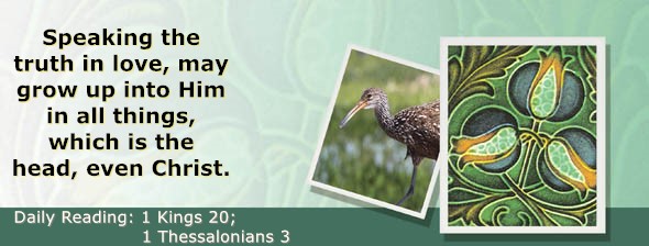 https://bibletruthpublishers.com/ComfortOfScriptures/wp-content/uploads/cos-hdg-2026-290.jpg