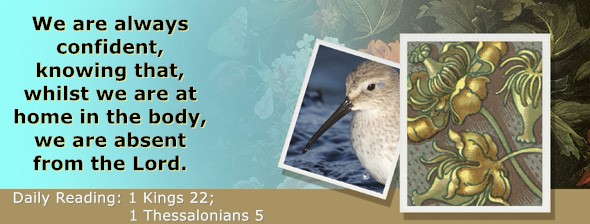 https://bibletruthpublishers.com/ComfortOfScriptures/wp-content/uploads/cos-hdg-2026-292.jpg
