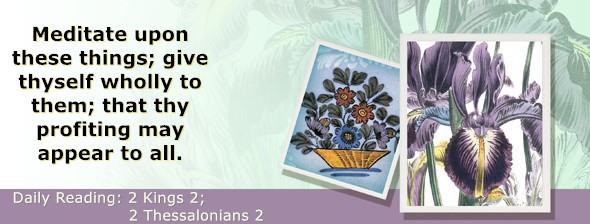 https://bibletruthpublishers.com/ComfortOfScriptures/wp-content/uploads/cos-hdg-2026-294.jpg