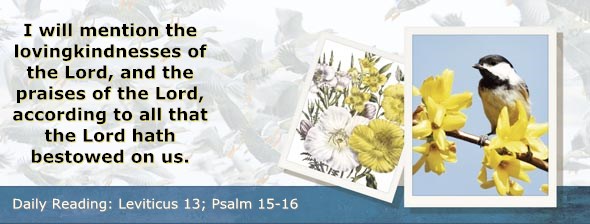 http://bibletruthpublishers.com/DailyLight/wp-content/uploads/dl-hdg-2014-198.jpg