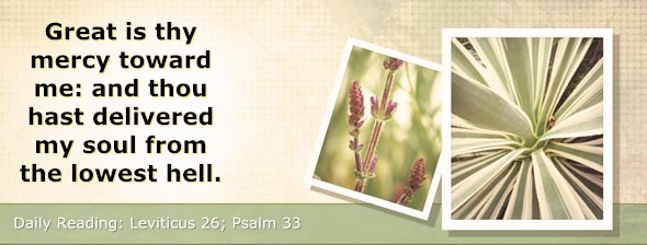http://bibletruthpublishers.com/DailyLight/wp-content/uploads/dl-hdg-2014-224.jpg