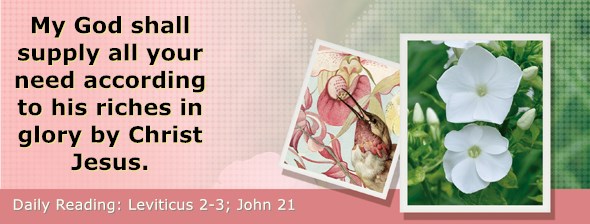 https://bibletruthpublishers.com/DailyLight/wp-content/uploads/dl-hdg-2019-179.jpg