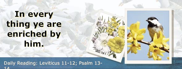 https://bibletruthpublishers.com/DailyLight/wp-content/uploads/dl-hdg-2019-195.jpg
