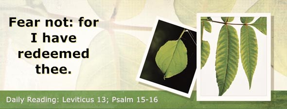 https://bibletruthpublishers.com/DailyLight/wp-content/uploads/dl-hdg-2019-197.jpg