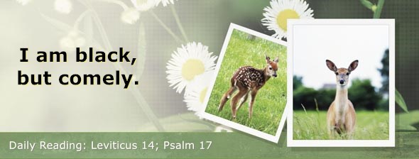 https://bibletruthpublishers.com/DailyLight/wp-content/uploads/dl-hdg-2019-199.jpg