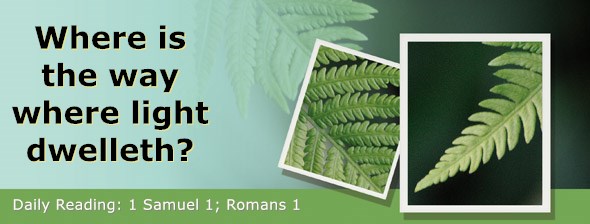 https://bibletruthpublishers.com/DailyLight/wp-content/uploads/dl-hdg-2020-448.jpg