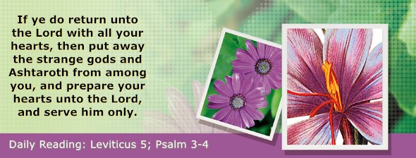 https://bibletruthpublishers.com/DailyLight/wp-content/uploads/dl-hdg-2022-183.jpg
