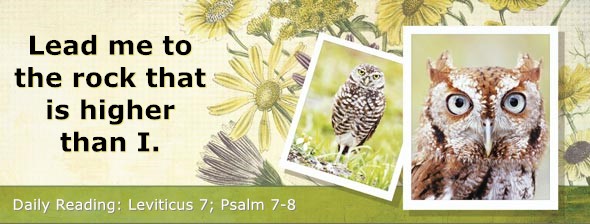 https://bibletruthpublishers.com/DailyLight/wp-content/uploads/dl-hdg-2022-188.jpg