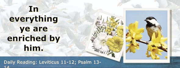 https://bibletruthpublishers.com/DailyLight/wp-content/uploads/dl-hdg-2022-195.jpg