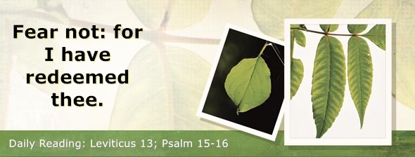https://bibletruthpublishers.com/DailyLight/wp-content/uploads/dl-hdg-2022-197.jpg