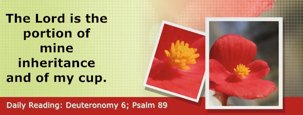 https://bibletruthpublishers.com/DailyLight/wp-content/uploads/dl-hdg-2022-306.jpg