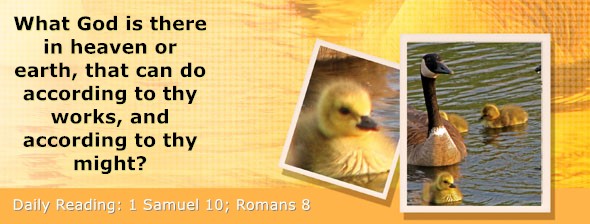 https://bibletruthpublishers.com/DailyLight/wp-content/uploads/dl-hdg-2022-459.jpg