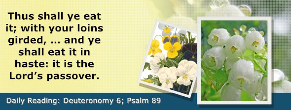 https://bibletruthpublishers.com/DailyLight/wp-content/uploads/dl-hdg-2023-305.jpg