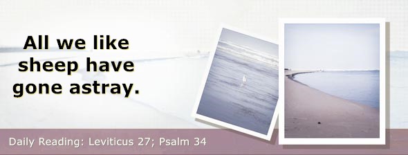 https://bibletruthpublishers.com/DailyLight/wp-content/uploads/dl-hdg-2024-228.jpg