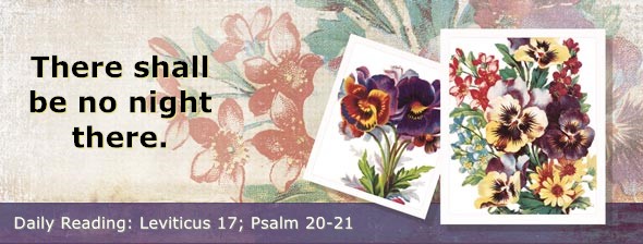 https://bibletruthpublishers.com/DailyLight/wp-content/uploads/dl-hdg-2025-206.jpg