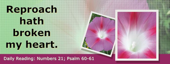https://bibletruthpublishers.com/DailyLight/wp-content/uploads/dl-hdg-2025-264.jpg