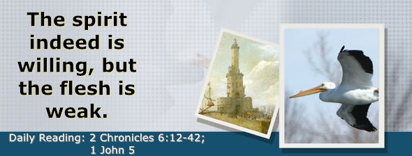 https://bibletruthpublishers.com/DailyLight/wp-content/uploads/dl-hdg-2025-680.jpg
