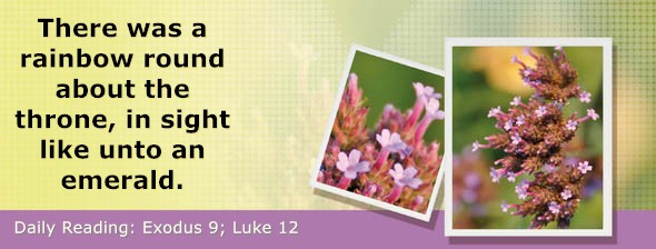 https://bibletruthpublishers.com/DailyLight/wp-content/uploads/dl-hdg-2026-114.jpg