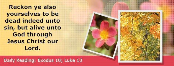 https://bibletruthpublishers.com/DailyLight/wp-content/uploads/dl-hdg-2026-115.jpg