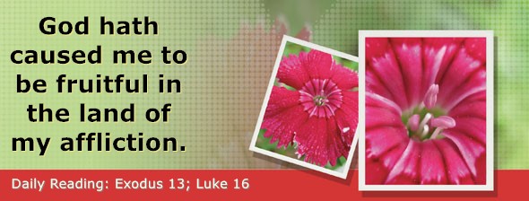 https://bibletruthpublishers.com/DailyLight/wp-content/uploads/dl-hdg-2026-121.jpg
