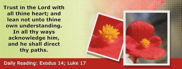 https://bibletruthpublishers.com/DailyLight/wp-content/uploads/dl-hdg-2026-123.jpg
