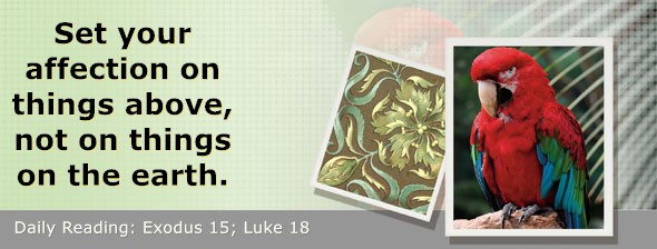 https://bibletruthpublishers.com/DailyLight/wp-content/uploads/dl-hdg-2026-125.jpg