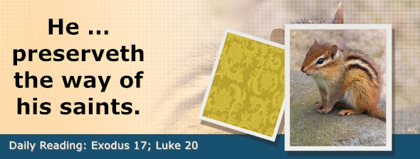 https://bibletruthpublishers.com/DailyLight/wp-content/uploads/dl-hdg-2026-129.jpg