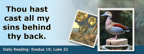 https://bibletruthpublishers.com/DailyLight/wp-content/uploads/dl-hdg-2026-133.jpg