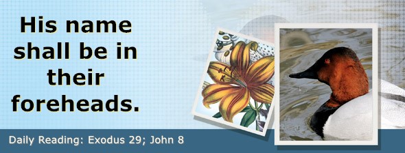 https://bibletruthpublishers.com/DailyLight/wp-content/uploads/dl-hdg-2026-154.jpg