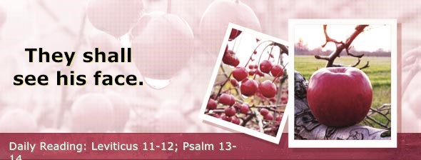 https://bibletruthpublishers.com/DailyLight/wp-content/uploads/dl-hdg-2026-196.jpg