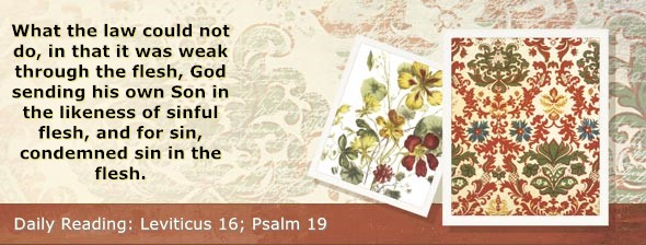 https://bibletruthpublishers.com/DailyLight/wp-content/uploads/dl-hdg-2026-203.jpg