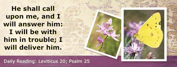 https://bibletruthpublishers.com/DailyLight/wp-content/uploads/dl-hdg-2026-212.jpg