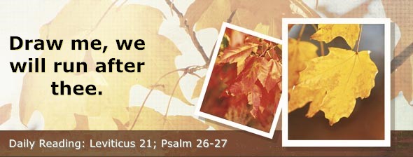 https://bibletruthpublishers.com/DailyLight/wp-content/uploads/dl-hdg-2026-214.jpg