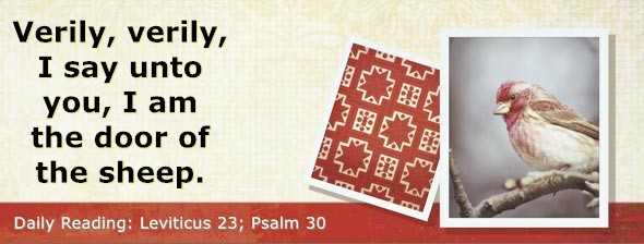 https://bibletruthpublishers.com/DailyLight/wp-content/uploads/dl-hdg-2026-217.jpg