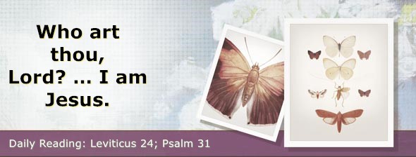 https://bibletruthpublishers.com/DailyLight/wp-content/uploads/dl-hdg-2026-220.jpg