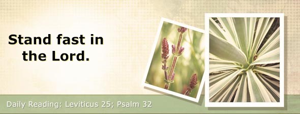 https://bibletruthpublishers.com/DailyLight/wp-content/uploads/dl-hdg-2026-221.jpg