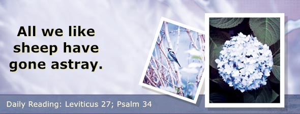 https://bibletruthpublishers.com/DailyLight/wp-content/uploads/dl-hdg-2026-226.jpg