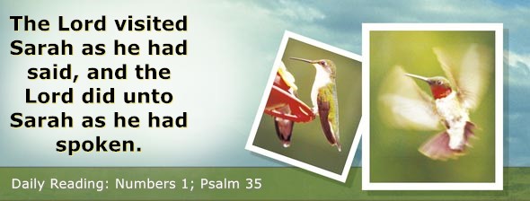 https://bibletruthpublishers.com/DailyLight/wp-content/uploads/dl-hdg-2026-227.jpg