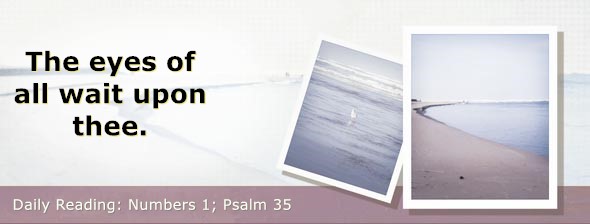 https://bibletruthpublishers.com/DailyLight/wp-content/uploads/dl-hdg-2026-228.jpg