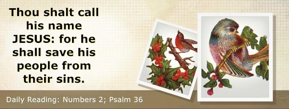 https://bibletruthpublishers.com/DailyLight/wp-content/uploads/dl-hdg-2026-229.jpg