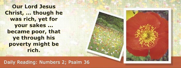 https://bibletruthpublishers.com/DailyLight/wp-content/uploads/dl-hdg-2026-230.jpg