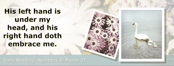 https://bibletruthpublishers.com/DailyLight/wp-content/uploads/dl-hdg-2026-231.jpg