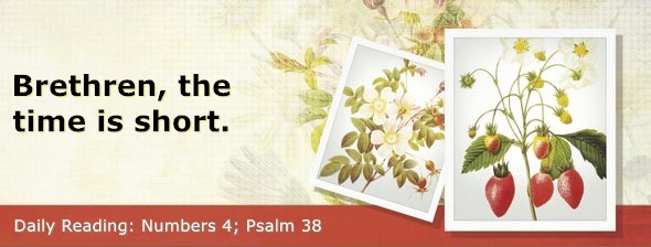 https://bibletruthpublishers.com/DailyLight/wp-content/uploads/dl-hdg-2026-233.jpg
