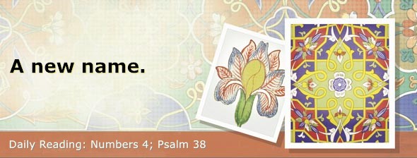 https://bibletruthpublishers.com/DailyLight/wp-content/uploads/dl-hdg-2026-234.jpg