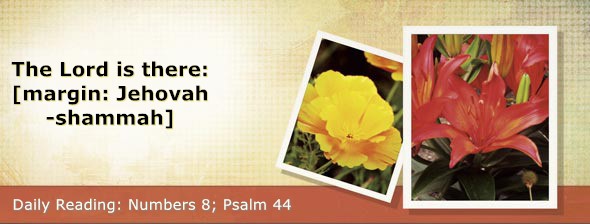 https://bibletruthpublishers.com/DailyLight/wp-content/uploads/dl-hdg-2026-242.jpg