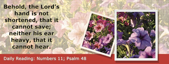 https://bibletruthpublishers.com/DailyLight/wp-content/uploads/dl-hdg-2026-247.jpg