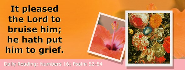 https://bibletruthpublishers.com/DailyLight/wp-content/uploads/dl-hdg-2026-255.jpg