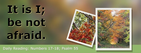 https://bibletruthpublishers.com/DailyLight/wp-content/uploads/dl-hdg-2026-258.jpg